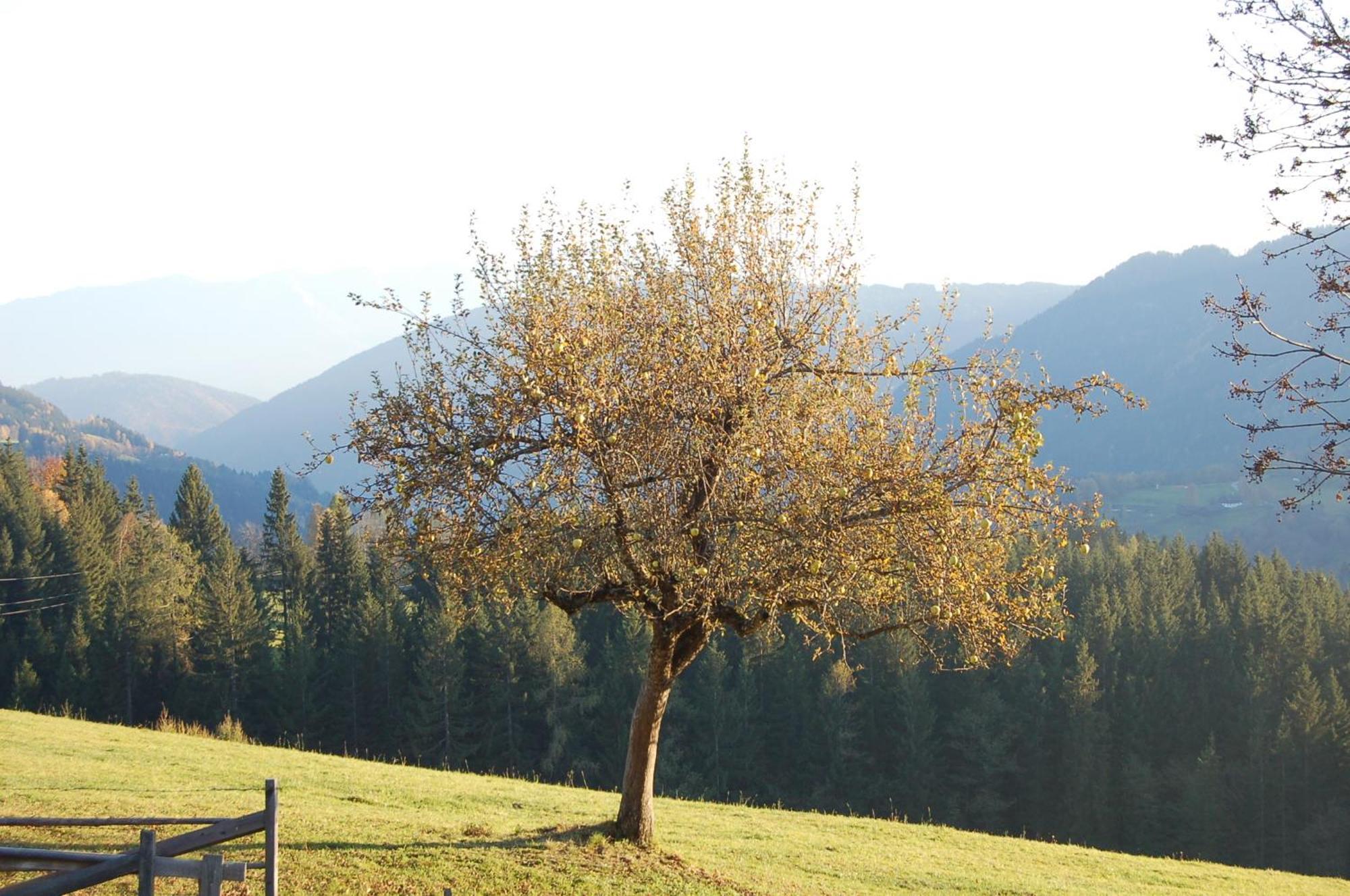 Walcherhof Arriach Esterno foto