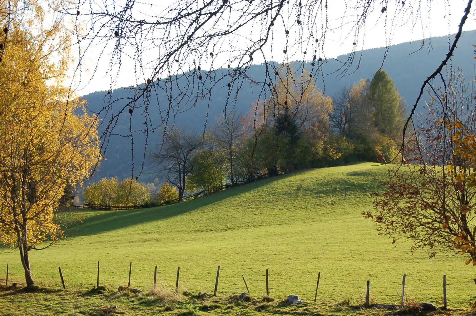 Walcherhof Arriach Esterno foto
