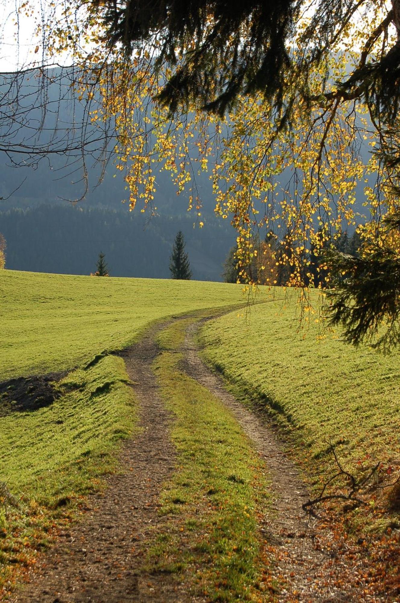 Walcherhof Arriach Esterno foto