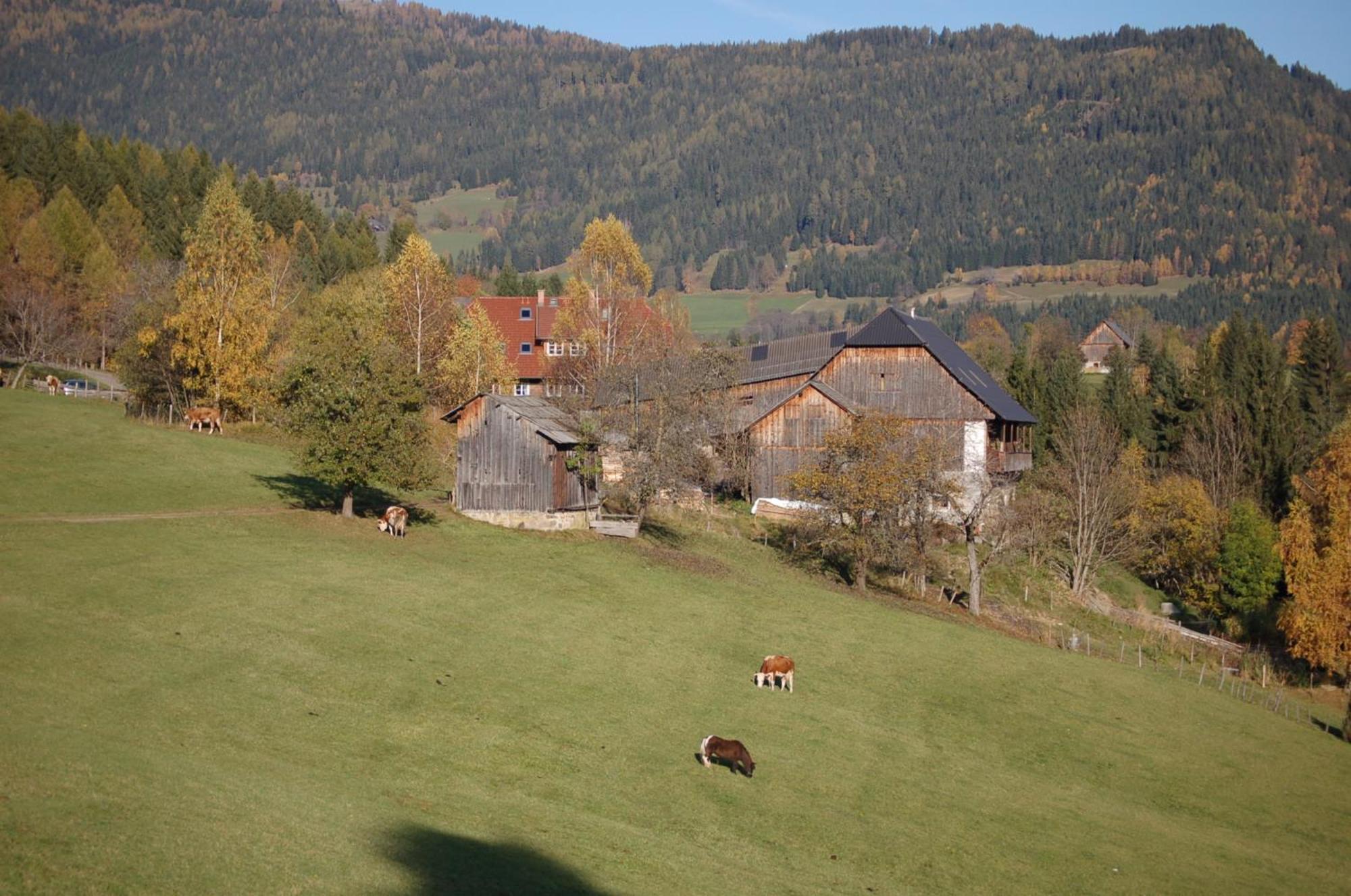 Walcherhof Arriach Esterno foto